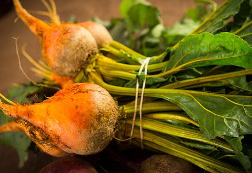 Golden Detroit Heirloom Beet Seeds