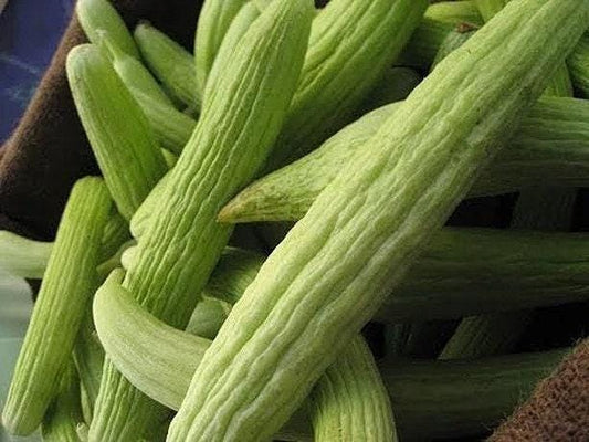 Armenian Cucumber Heirloom Seeds
