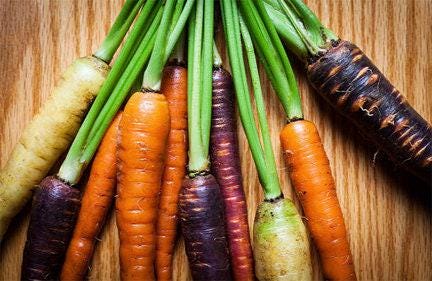 Rainbow Blend Heirloom Carrot Seeds