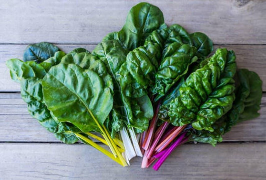 Rainbow Heirloom Swiss Chard Seeds