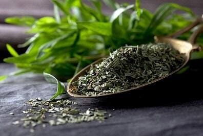 Russian Tarragon Heirloom Seeds