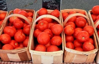 Mortgage Lifter Heirloom Tomato Seeds