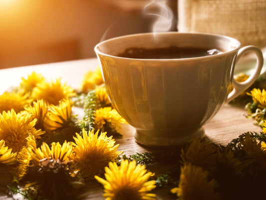 True Dandelion Heirloom Seeds