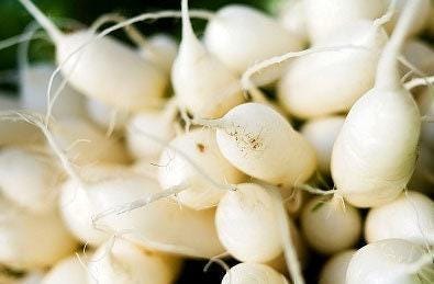 White Icicle Heirloom Radish Seeds