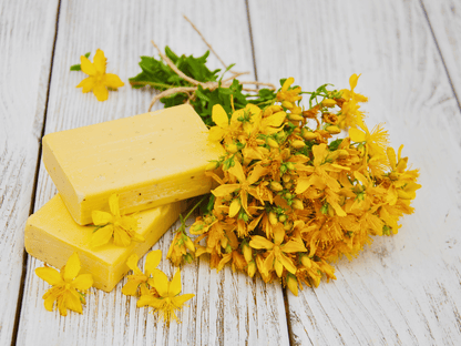 St. John’s Wort Heirloom Seeds