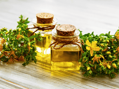 St. John’s Wort Heirloom Seeds