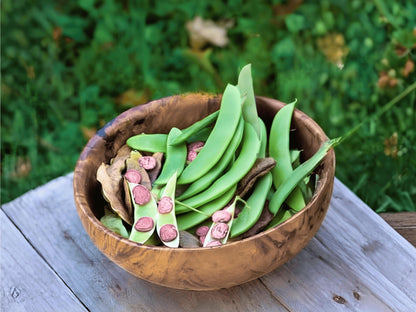 A wooden bowl filled with green beans and red beans sits on a wooden surface, surrounded by lush greenery.