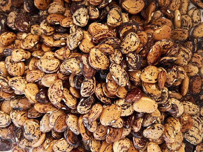 A close-up image of a pile of brown and black speckled beans or lentils.