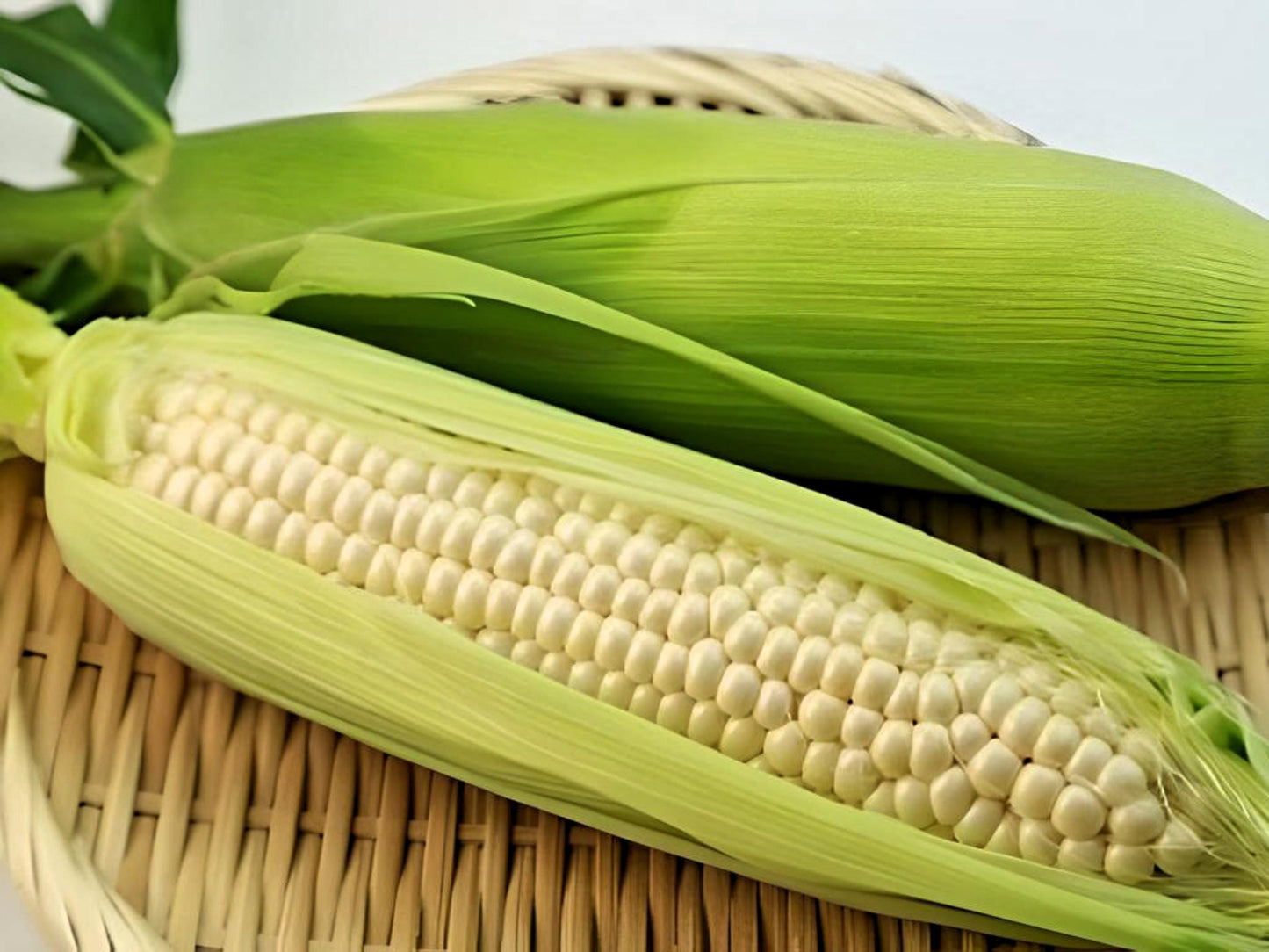 Country Gentlemen Heirloom Sweet Corn Seeds