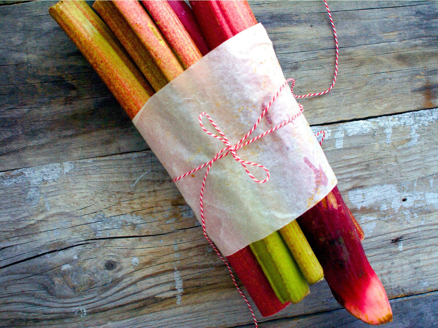Glaskins Perpetual Heirloom Rhubarb Seeds
