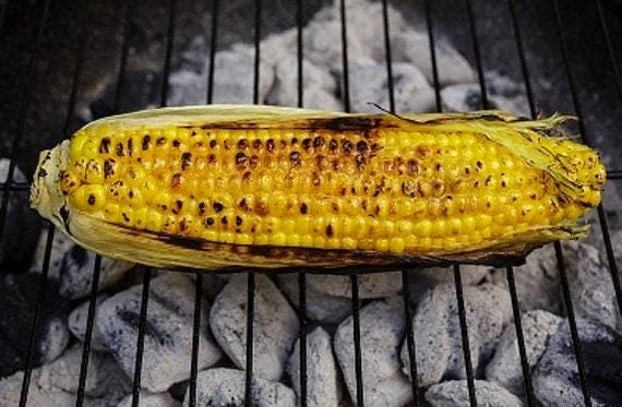 Country Gentlemen Heirloom Sweet Corn Seeds
