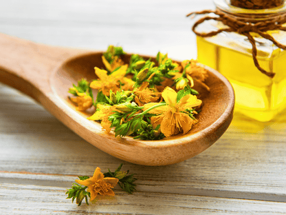 St. John’s Wort Heirloom Seeds