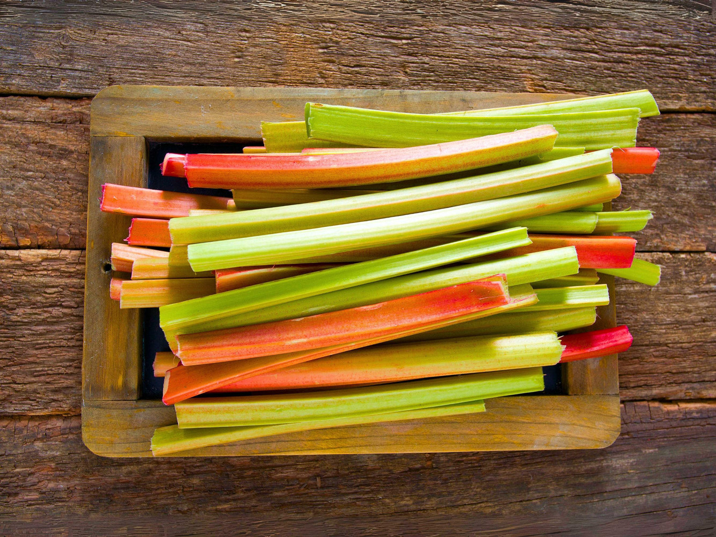 Glaskins Perpetual Heirloom Rhubarb Seeds