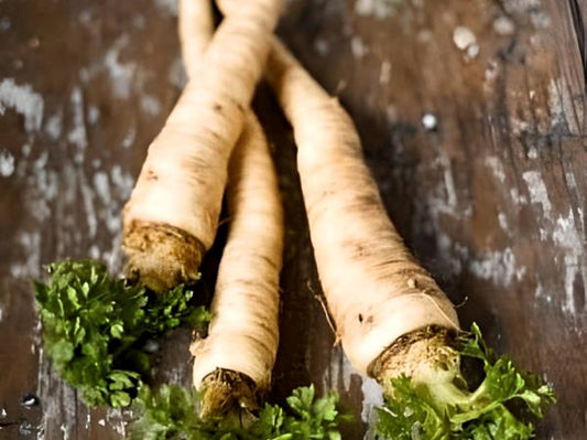 Harris Model Heirloom Parsnip Seeds