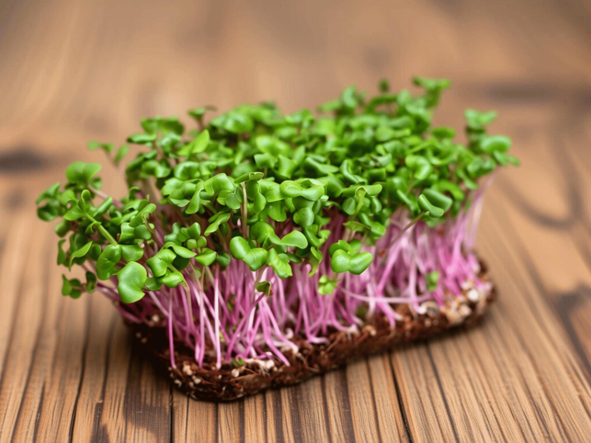 A close-up image of a bunch of green sprouts with pink stems, arranged on a wooden surface.