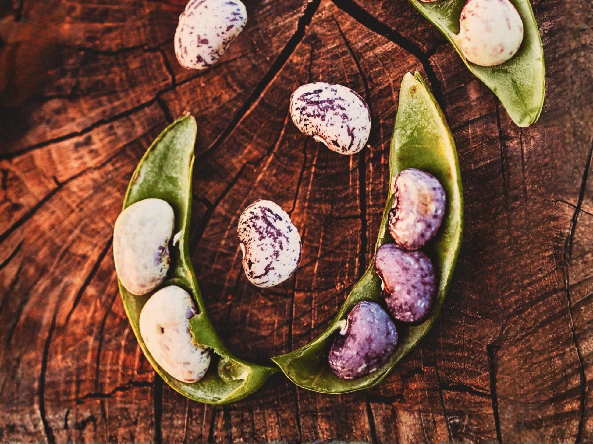 A close-up image of green beans and purple beans arranged on a wooden surface.