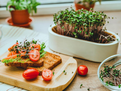 a wooden cutting board with a sandwich made with bread, tomatoes, and greens, along with a bowl of fresh greens and a potted plant.