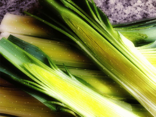 Giant Musselburg Heirloom Leek Seeds