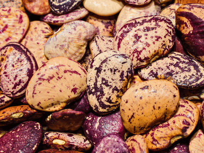 a close-up view of various colored and patterned beans or legumes, including purple and orange speckled beans, scattered together.