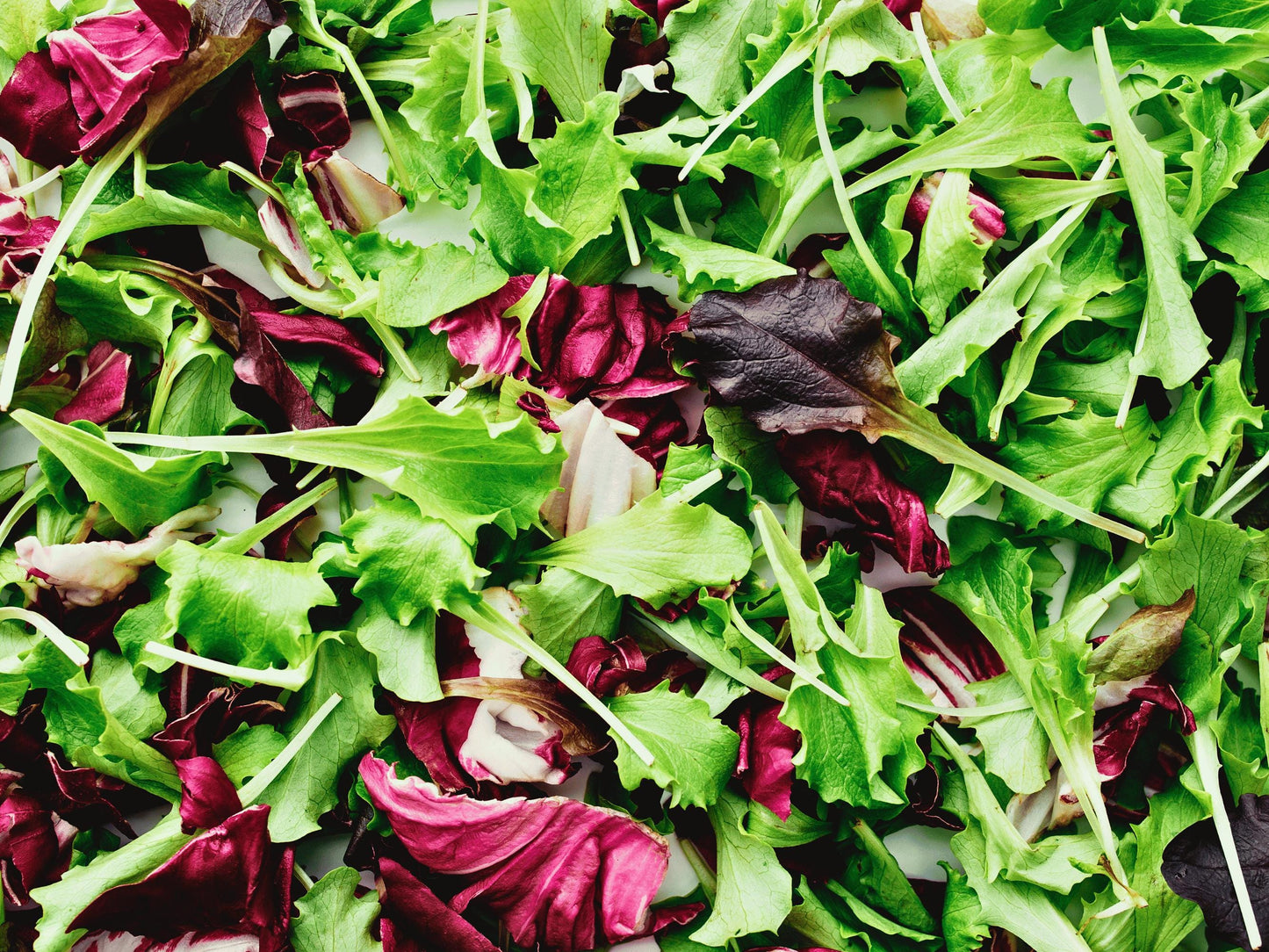 A close-up image of a fresh salad composed of various green and red leafy vegetables, such as lettuce and spinach.