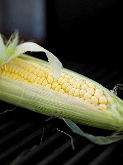 Country Gentlemen Heirloom Sweet Corn Seeds