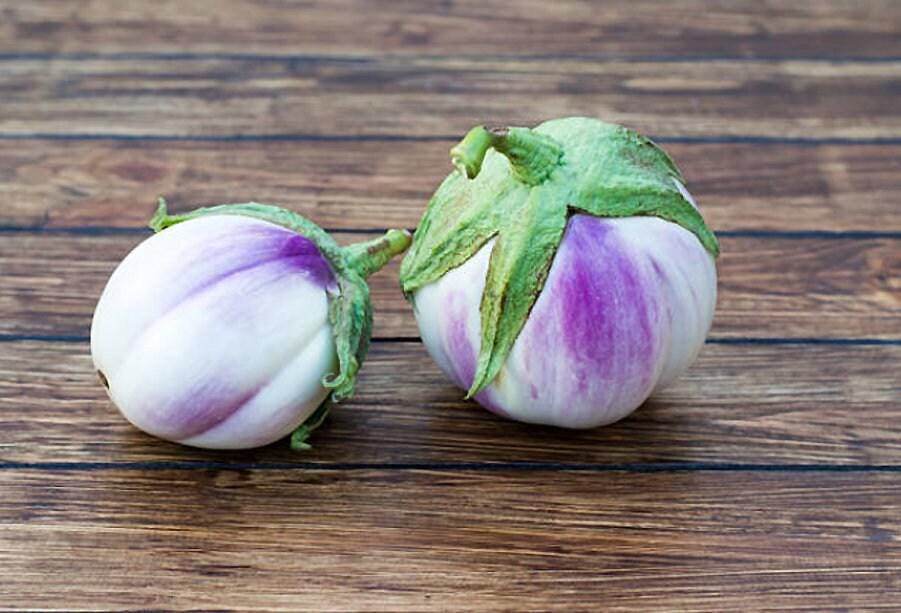 rosa bianca eggplant seeds Rosa Bianca Eggplant Seeds