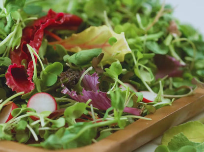 Mesclun Salad Mix Heirloom Seeds